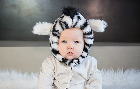 Zebra-infant